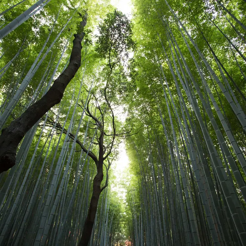 教育进步