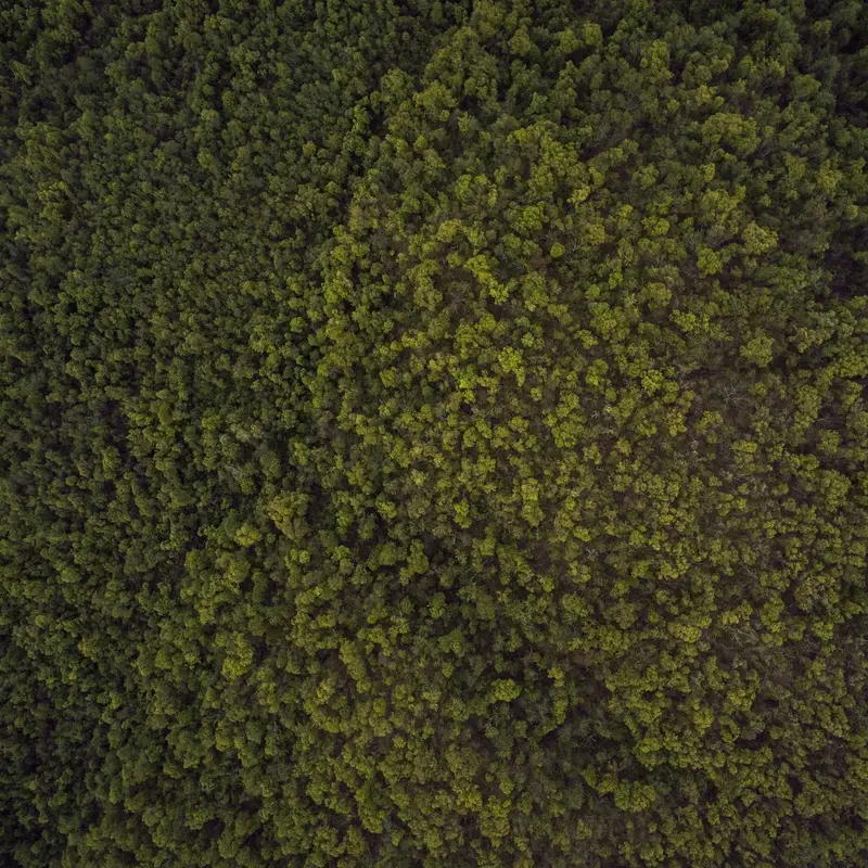 seo泛目录怎么用